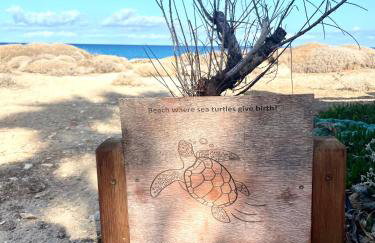 MIRA MARE - Apartment 6 - Foto 22