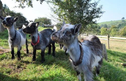 2 Bed in Leominster oc-78637 - Foto 25