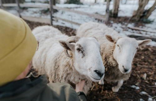 our farm Ferienwohnung - Foto 23