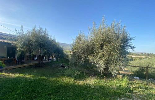 CasaRuibella - Foto 7