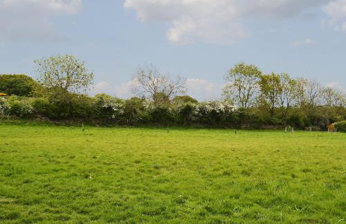 Arne Barn - Photo 23