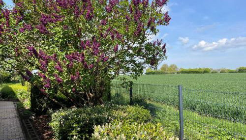 Villa Kronsteert - Foto 2