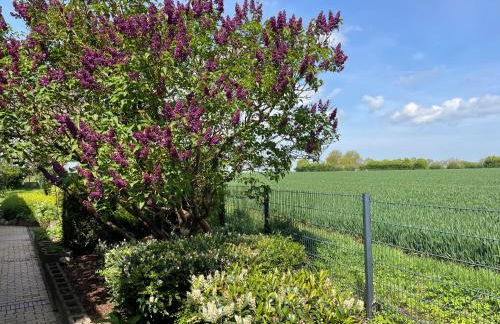 Villa Kronsteert - Foto 2