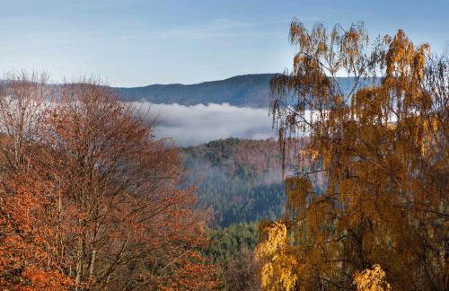 Gîte du Pré au Miel en plein coeur de l'Alsace - Foto 36