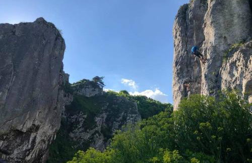 Leśna 6 - House with a garden - Foto 45