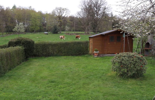 Holiday Home Am Beulskopf - Foto 20