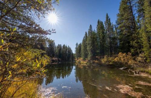 Lake Flora Cabin - Foto 21