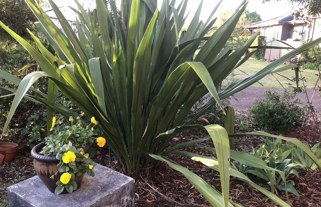 Gumnut Grove The Vintage - Foto 17