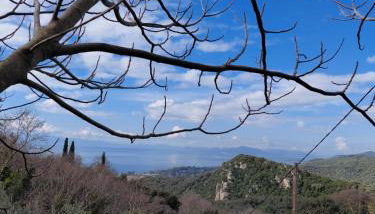 Zelis In Pelion Greece - Foto 5