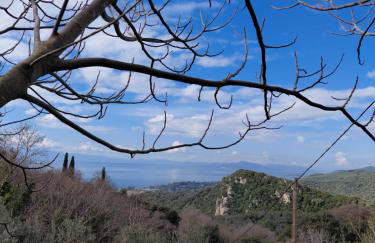 Zelis In Pelion Greece - Foto 5