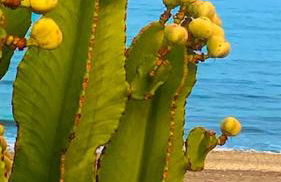 Sea View Penthouse apartment - Foto 22