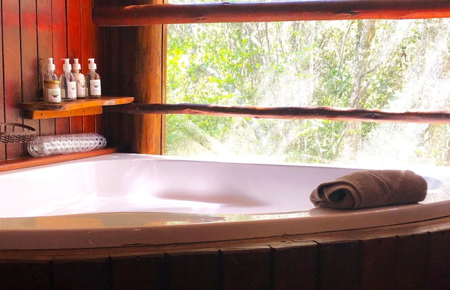 Teniqua Treetops - Foto 58