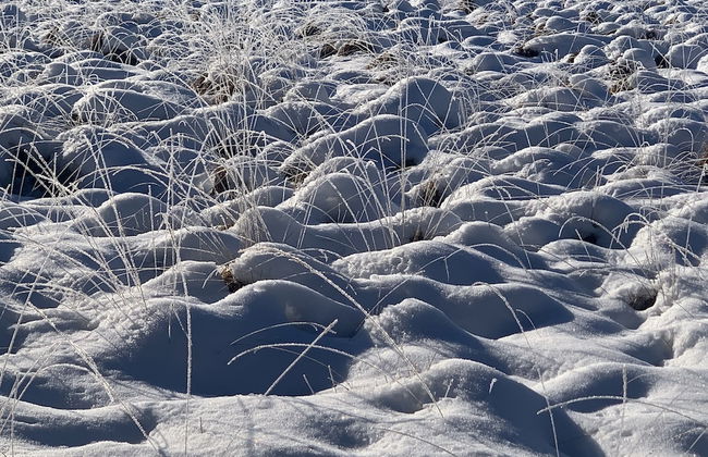 Beautiful Chalet Near the Forest in Malmedy - Foto 37