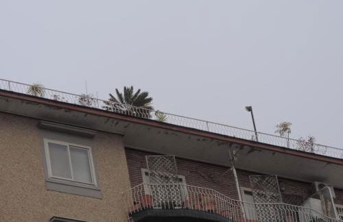 Sinfonia di Napoli - Foto 48