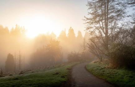 Cedar Cabin Overlooking Bedgebury Forest - Foto 29