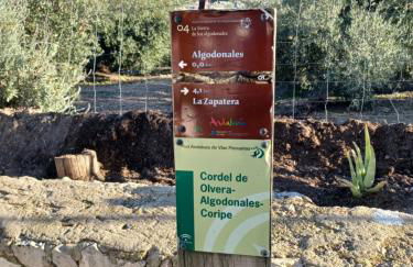 Casa Diego. Algodonales (Cadiz) - Photo 39