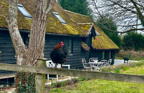 Bessie May Cottage - Foto 41