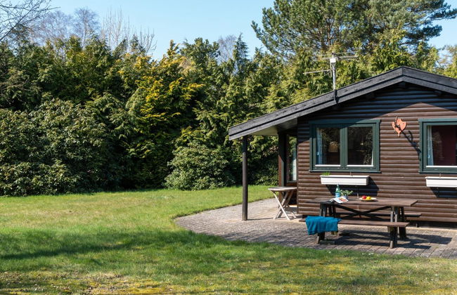 "Sander" - 800m from the sea - Foto 5