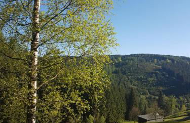 Ferienwohnung Wegespinne - Foto 17