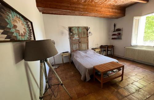 Domaine du grand platane - Foto 28