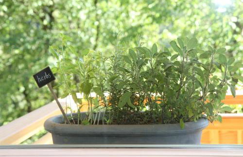 Dolomiti di Brenta House - Foto 41