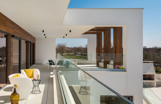 Old Olive VIII - Foto 15