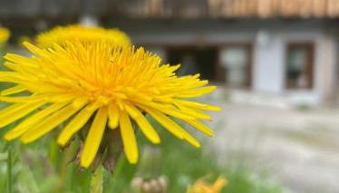 Appartamento Netta'Schtol - Foto 3