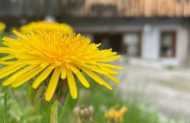 Appartamento Netta'Schtol - Photo 3