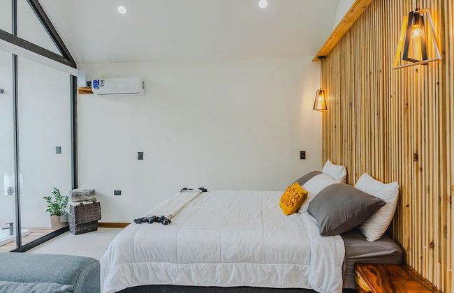 Floresta Monteverde - Foto 7