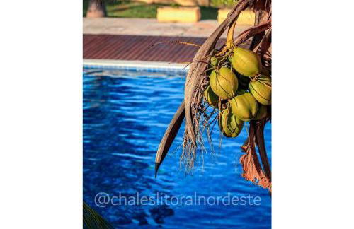 Chalé frente mar e frente piscina Zumbi-RN - Foto 3