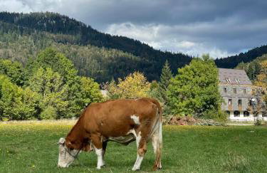 Kuća za odmor Petra - Foto 26