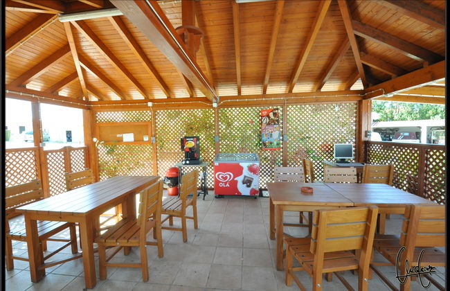 Flor da Laranja - Foto 41