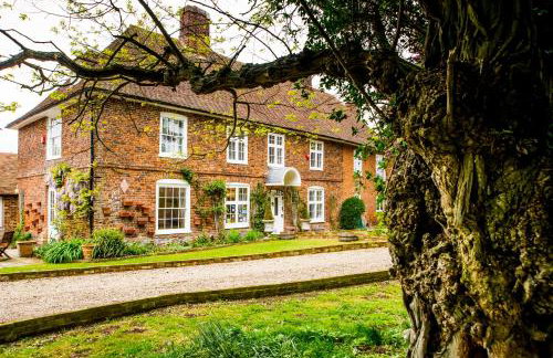 Molland Manor House Self catering (10 bedrooms 9 bathrooms) - Foto 6