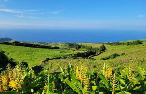 Oceanview Sunset Retreat - Photo 43