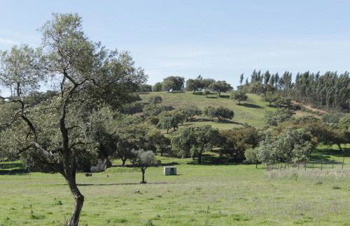 Casa Rural El Tejar - Foto 19