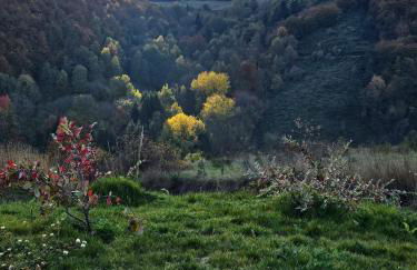 Le Saint-Jean - Foto 22