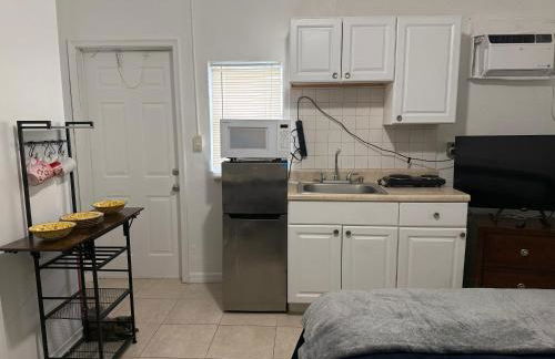 My Garden in Miami Florida - Photo 30