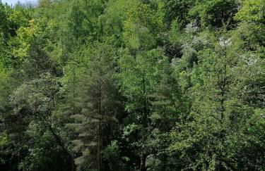 Schönes Apartment mit Pool&Sauna - Foto 13