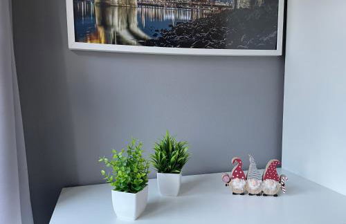 Ferienwohnung-Elbland - Foto 12