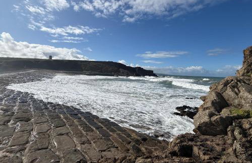 Cornish coastal escape in Bude - Foto 21