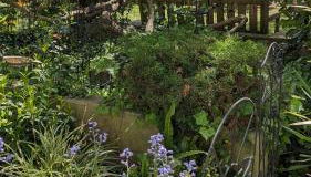 Le Petit Parc - Foto 3, Garden