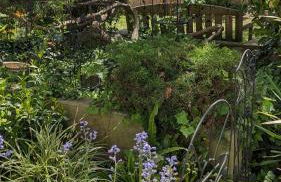 Le Petit Parc - Foto 3