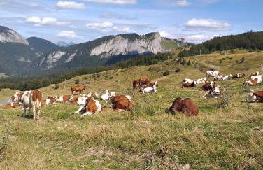 Les Curtillets - Foto 26