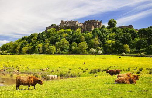 2 Bed in Stirling oc-81513 - Photo 16