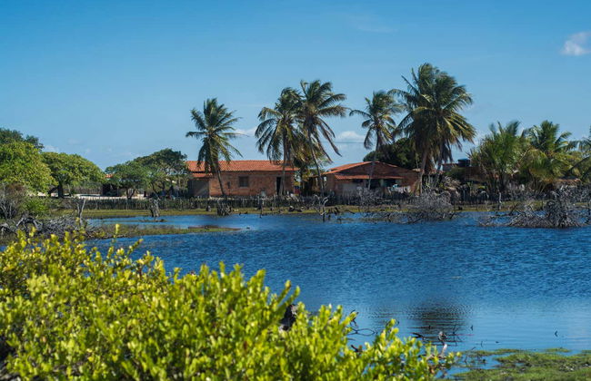 Tour en 4x4 por Betânia - Foto 4