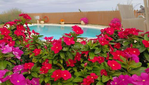 Anemomilos Villa - Foto 3