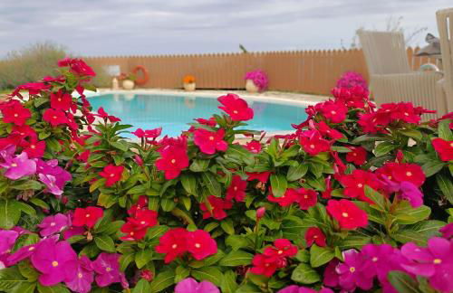 Anemomilos Villa - Photo 3