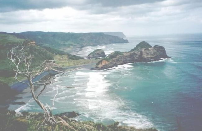 Bethells Beach Cottages - Foto 54