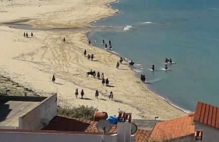 Quiet just a few steps from the sea - Foto 3