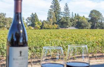 Relaxing 3BR Home with Vineyard View Rooftop Deck and Game Room - Foto 6